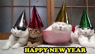 Image result for Happy New Year Cute Meme