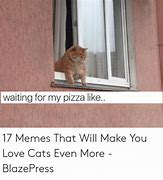 Image result for Cat Memes Waiting for My Pizza