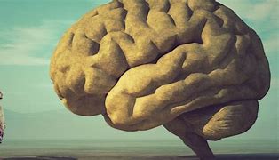 Image result for Universe Is a Giant Brain