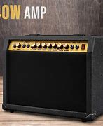 Image result for Good Acoustic Amplifier for Beginners