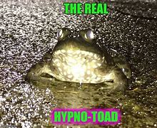 Image result for hypno toad frogs memes