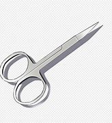 Image result for Small Sharp Scissors