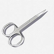 Image result for Smallest Scissors