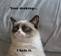 Image result for Grumpy Cat Desktop