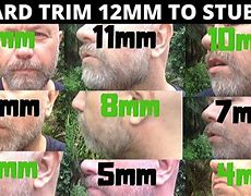 Image result for Beard Length mm