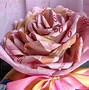 Image result for Bouquet of Indonesia Money