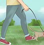 Image result for wikiHow Cat Meme