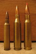 Image result for 308 vs 243 Deer Rifle