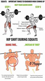 Image result for Squat Muscle Groups