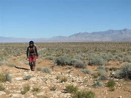 Image result for Lost in the Mojave Desert