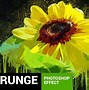 Image result for Grunge Style Photoshop