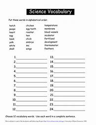 Image result for Free Homeschool Science Worksheets