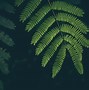 Image result for Grey and Green Wallpaper 4K