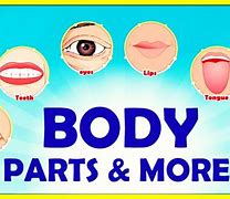 Image result for Body Parts in Japanese