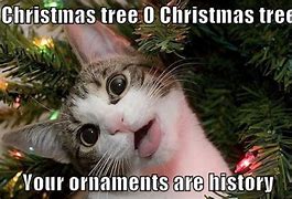 Image result for Funny Christmas Memes Cover Photo