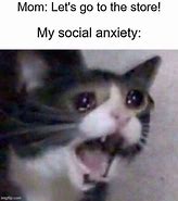 Image result for Social Anxiety Cat Pizza Meme