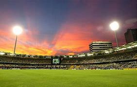 Image result for Cricket Art