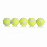 Image result for Small Tennis Ball Dog Toy