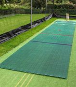 Image result for A Cricket Pitch