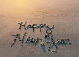 Image result for Happy New Year Florida