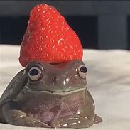 Image result for Peppy Frog
