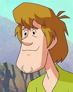 Image result for Scooby Doo Shaggy Rogers
