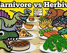 Image result for Carnivore and Herbivore Dinosaurs