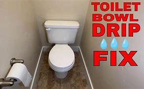 Image result for How to Fix a Dripping Toilet