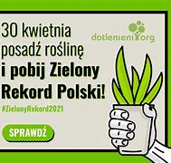 Image result for co_oznacza_zieloni_polska