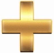 Image result for Gold Plus Sign