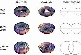 Image result for Types of Torus