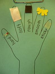 Image result for Touch Activities for Preschoolers