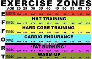 Image result for Training Heart Rate Chart