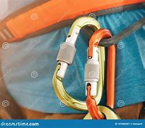 Image result for Red Carabiner