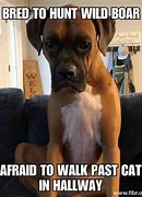 Image result for Happy Friday Boxer Dog