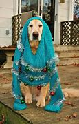 Image result for Ugly Sweater Day Meme