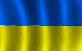 Image result for Flag of Ukraine