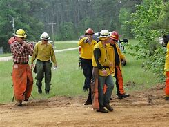 Image result for Red Wildland Fusees