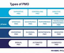 Image result for PMO Structure