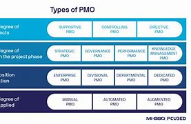 Image result for PMO 2.0