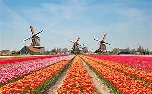 Image result for Famous Places in Netherlands