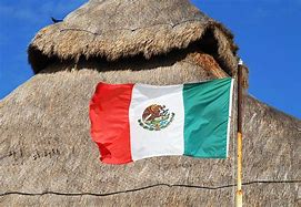 Image result for Mexican Flag Wrestling Mask