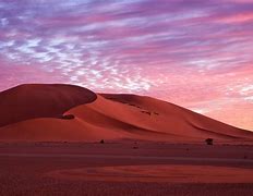 Image result for Desert Sand Landscape