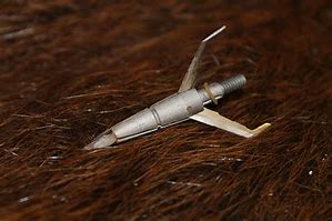 Image result for Turkey Hunting Broadheads