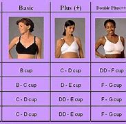 Image result for Bra Cup Size Measurement