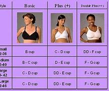 Image result for Bras for Smaller Cups