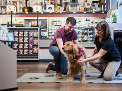 Image result for Global Pet Food Employees