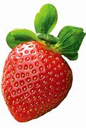 Image result for strawberry