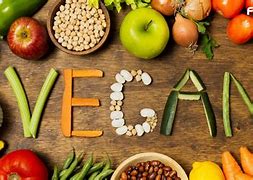 Image result for Vegan Plant-Based Diet Program