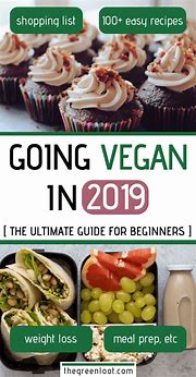 Image result for Vegan Guide for Beginners